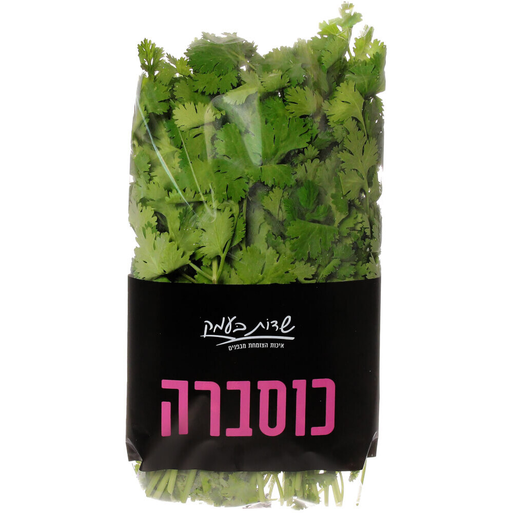 כוסברה - שדות בעמק